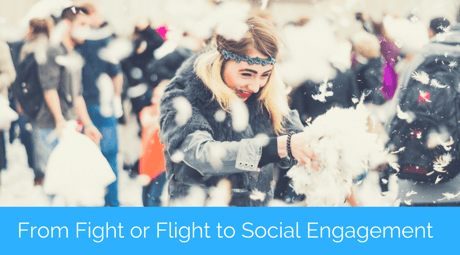 Polyvagal Theory Applied – Moving from Fight or Flight to Social Engagement for Sustainable Living