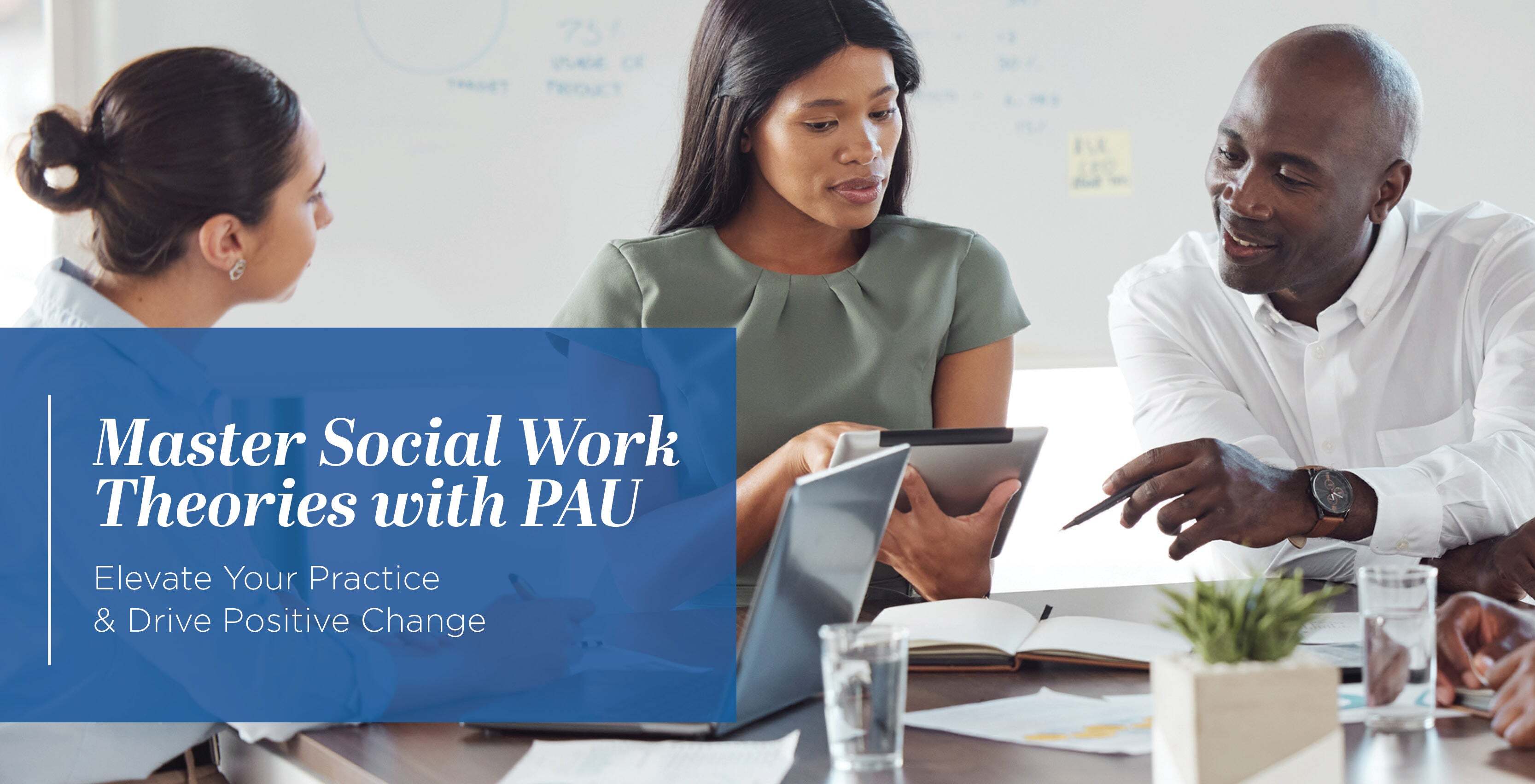 Master Social Work Theories