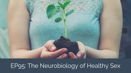 An Interpersonal Neurobiological Approach to Sex Addiction – Understanding the Brain, Mind, and Relationships to Foster Hope and Healing
