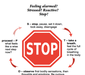 Mindfulness Activity #23
