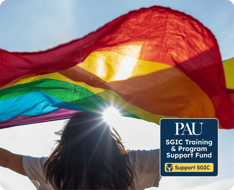 SGIC-Flag-Image-withSupport-Button