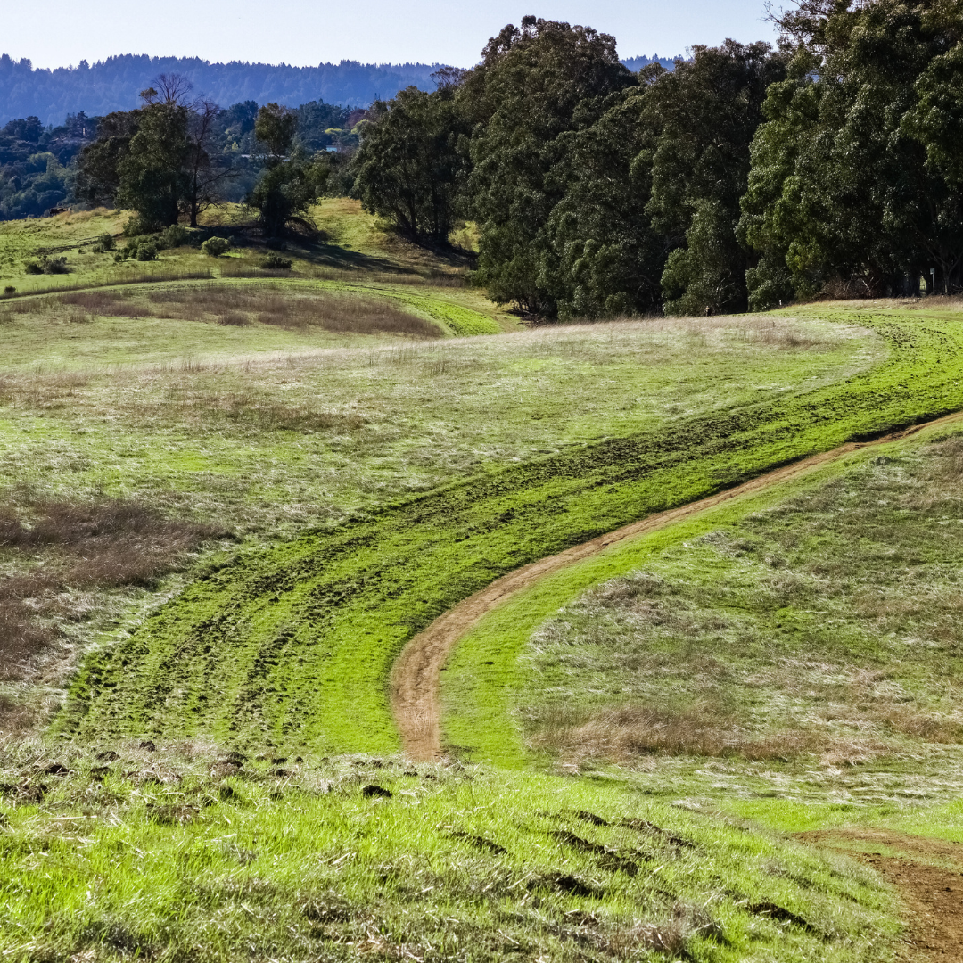 WoW-Social-Hike-1080x
