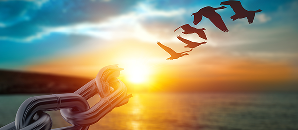 Adapting Dialectical Behavior Therapy for Justice-Involved Individuals