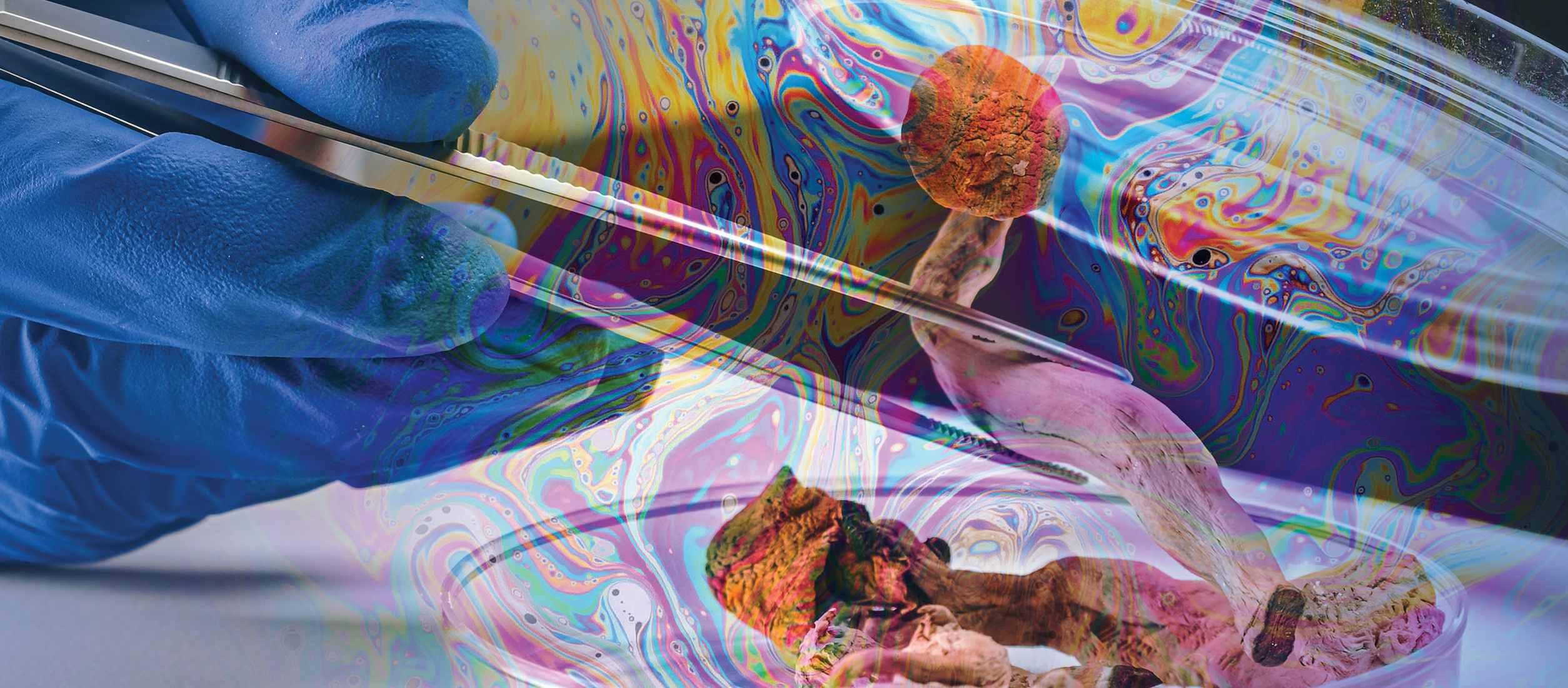 A Guide to Psychedelic Therapy