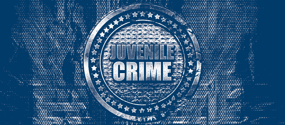 Juvenile General Violence Risk Assessments