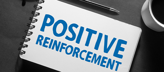 Reinforcement and Punishment