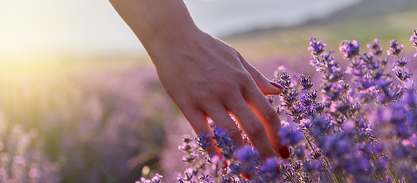 Discover How Behaviorism and DBT Combine for Effective Self-Soothing and Crisis Reduction