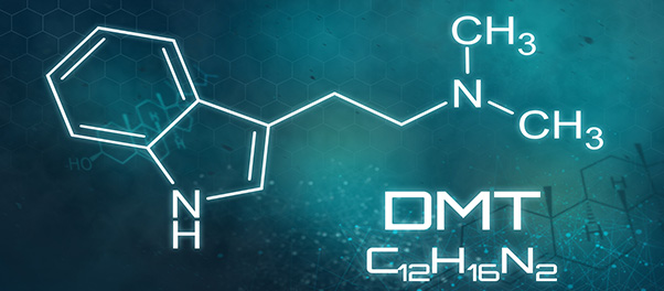 Understanding DMT Therapy