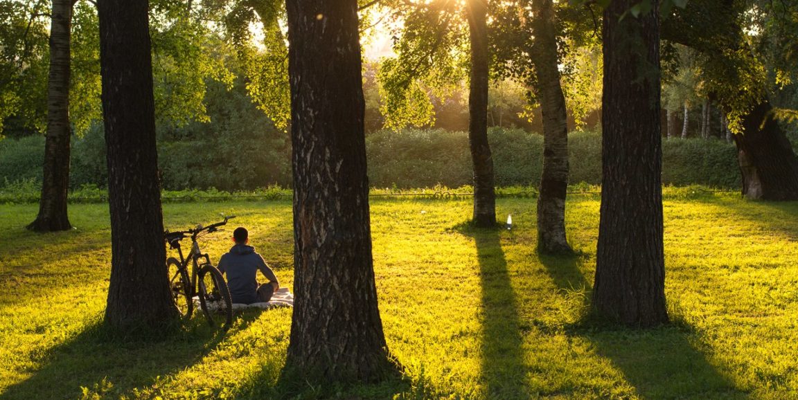 Mindfulness Activity #86