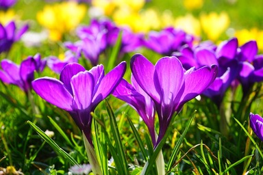 Mindfulness Activity #47