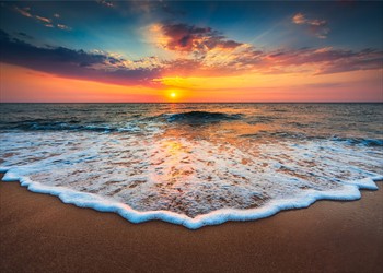 Mindfulness Activity #49