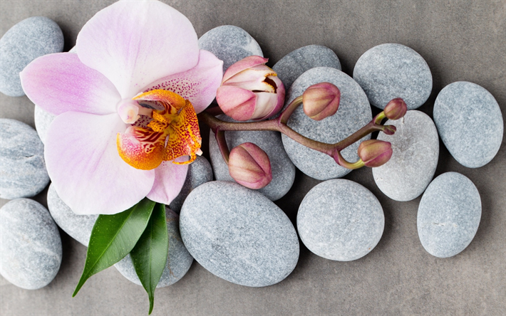 Mindfulness Activity #85