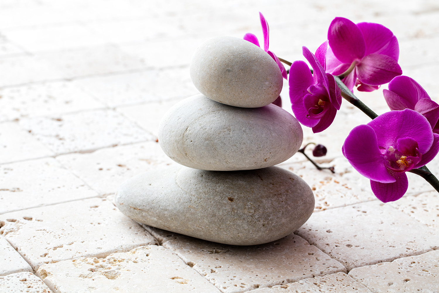 Mindfulness Activity #61