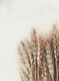Mindfulness Activity #50