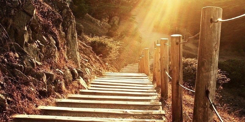 Mindfulness Activity #3