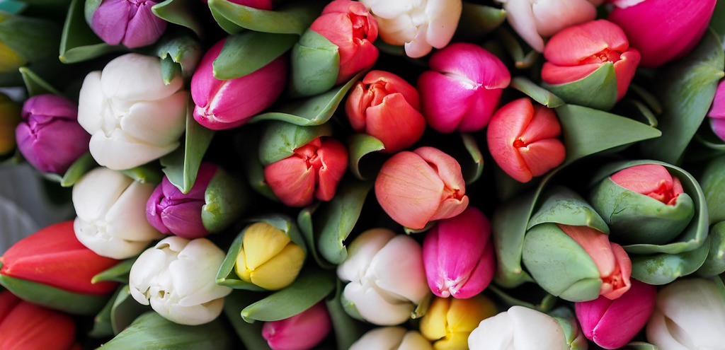 Mindfulness Post #116