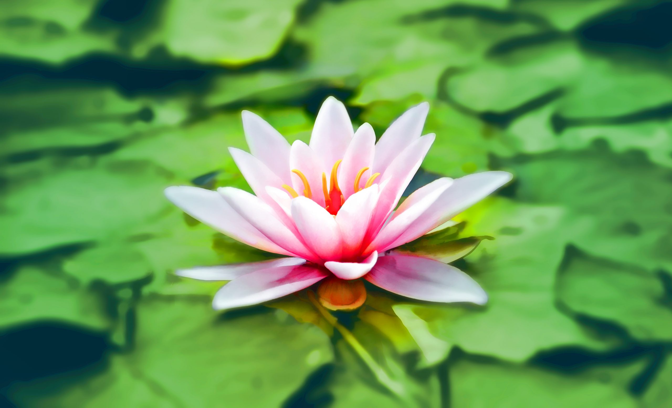 Mindfulness Activity #4