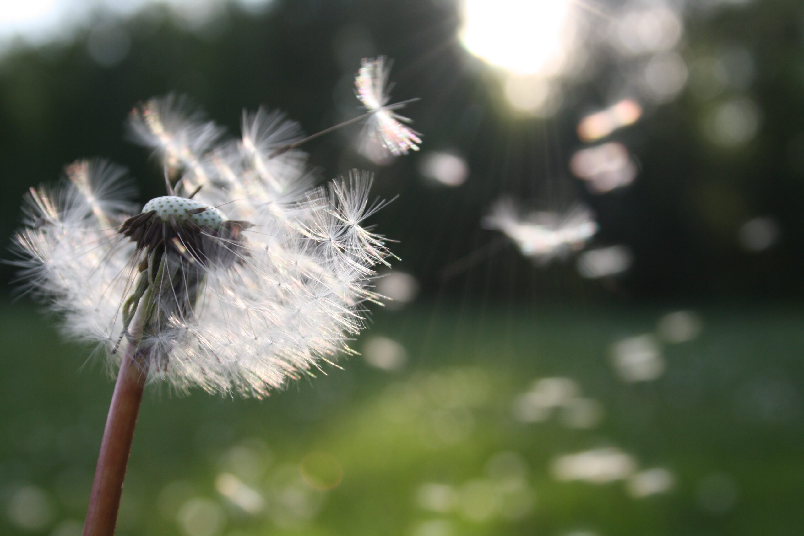 Mindfulness Activity #55