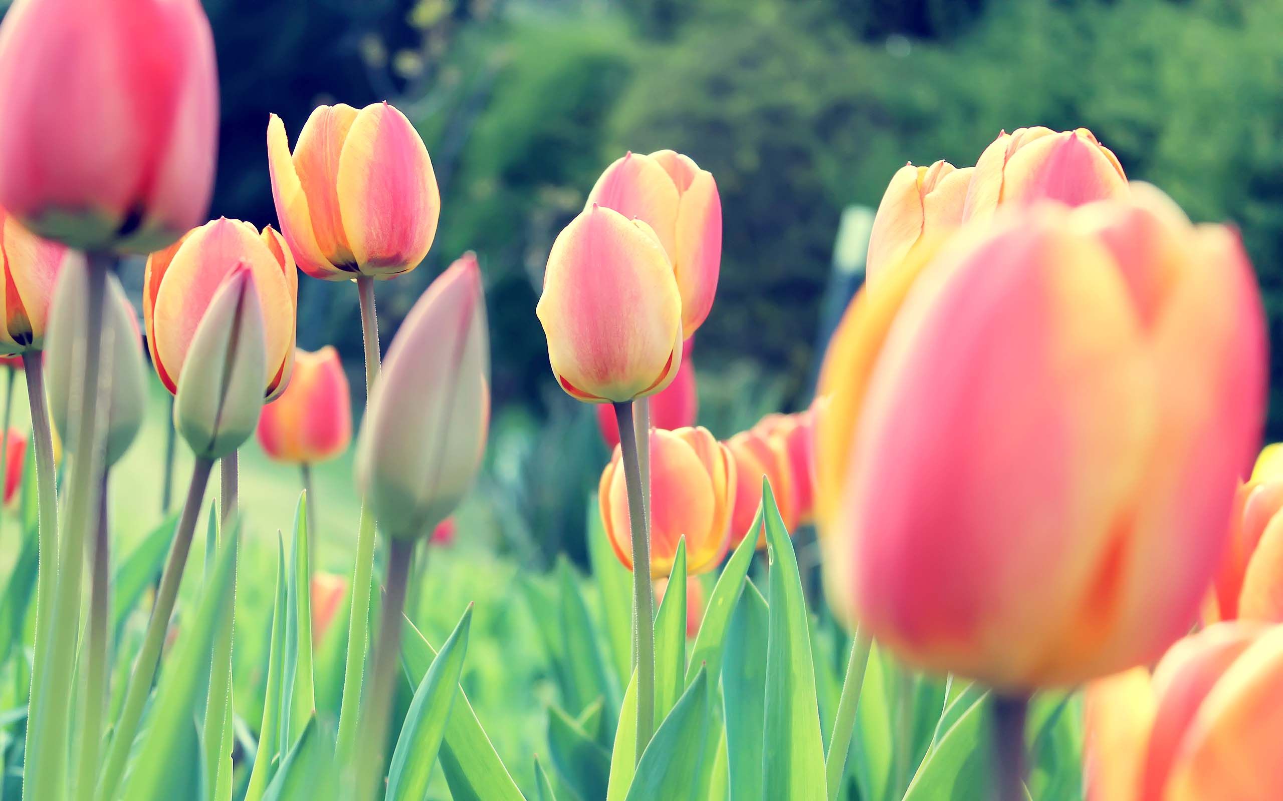 Mindfulness Activity #94