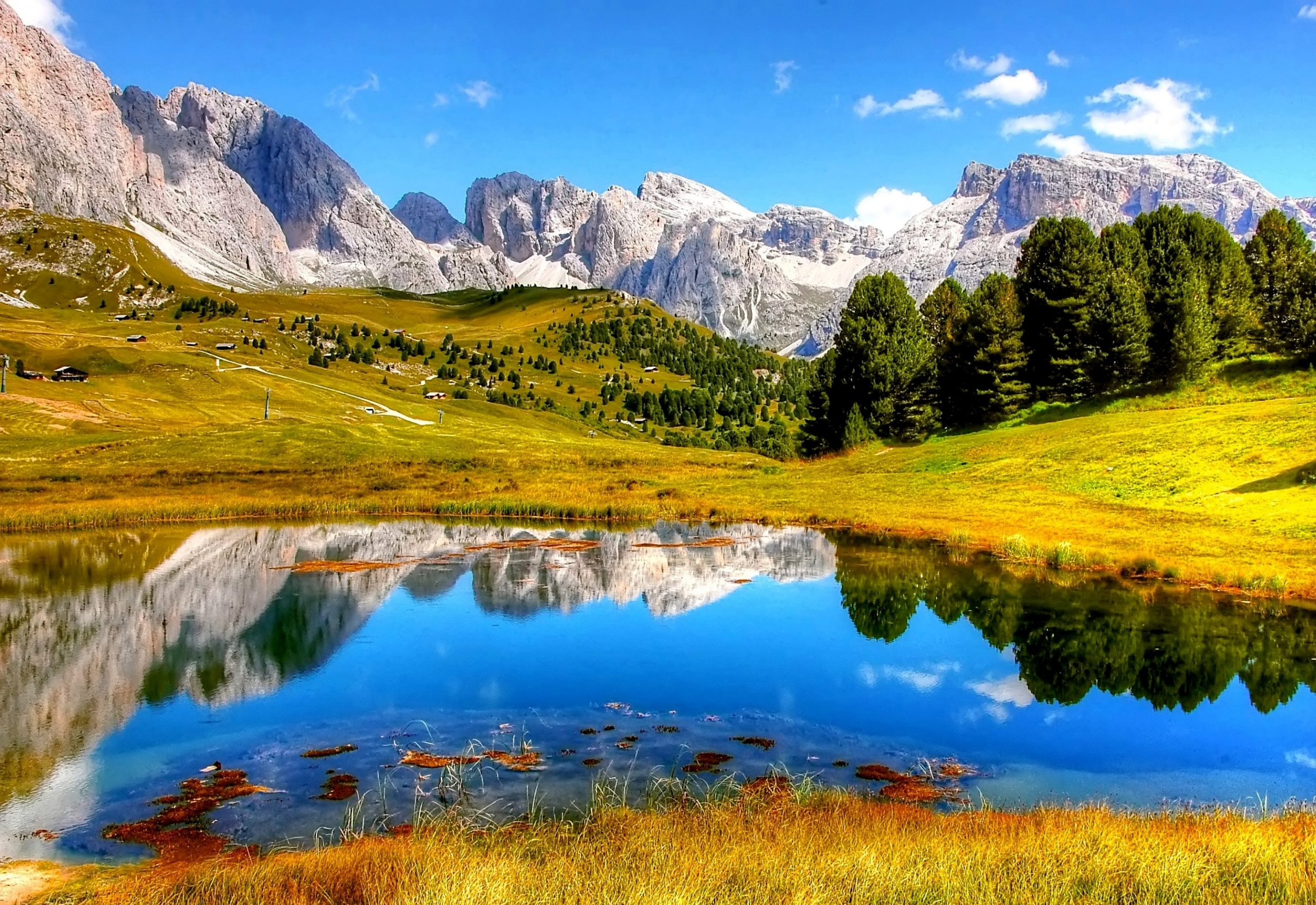 Mindfulness Activity #6