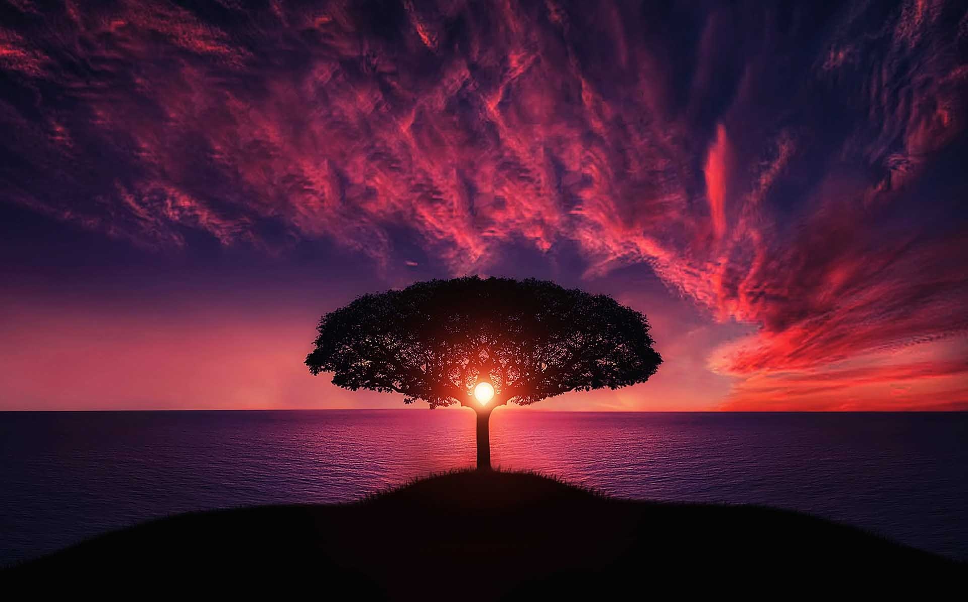 Mindfulness Activity #7