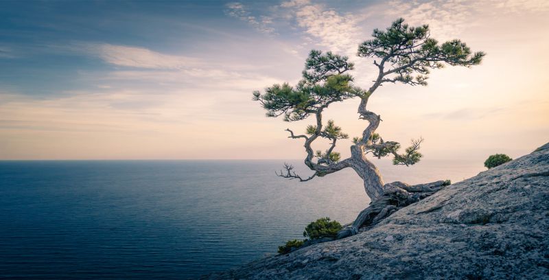 Mindfulness Activity #76