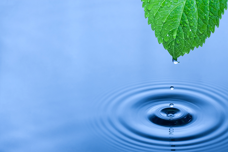 Mindfulness Activity #35
