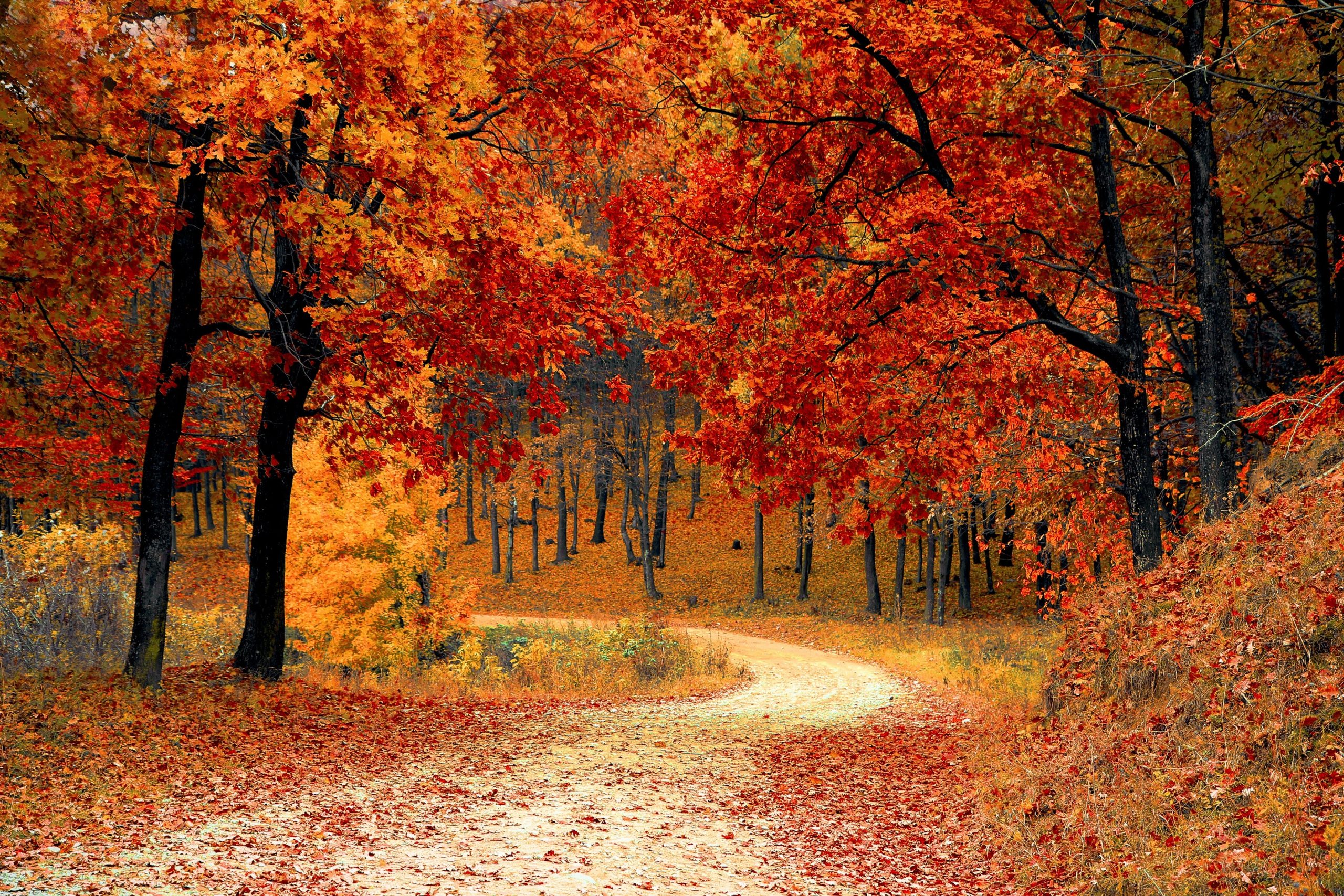 Mindfulness Activity #12