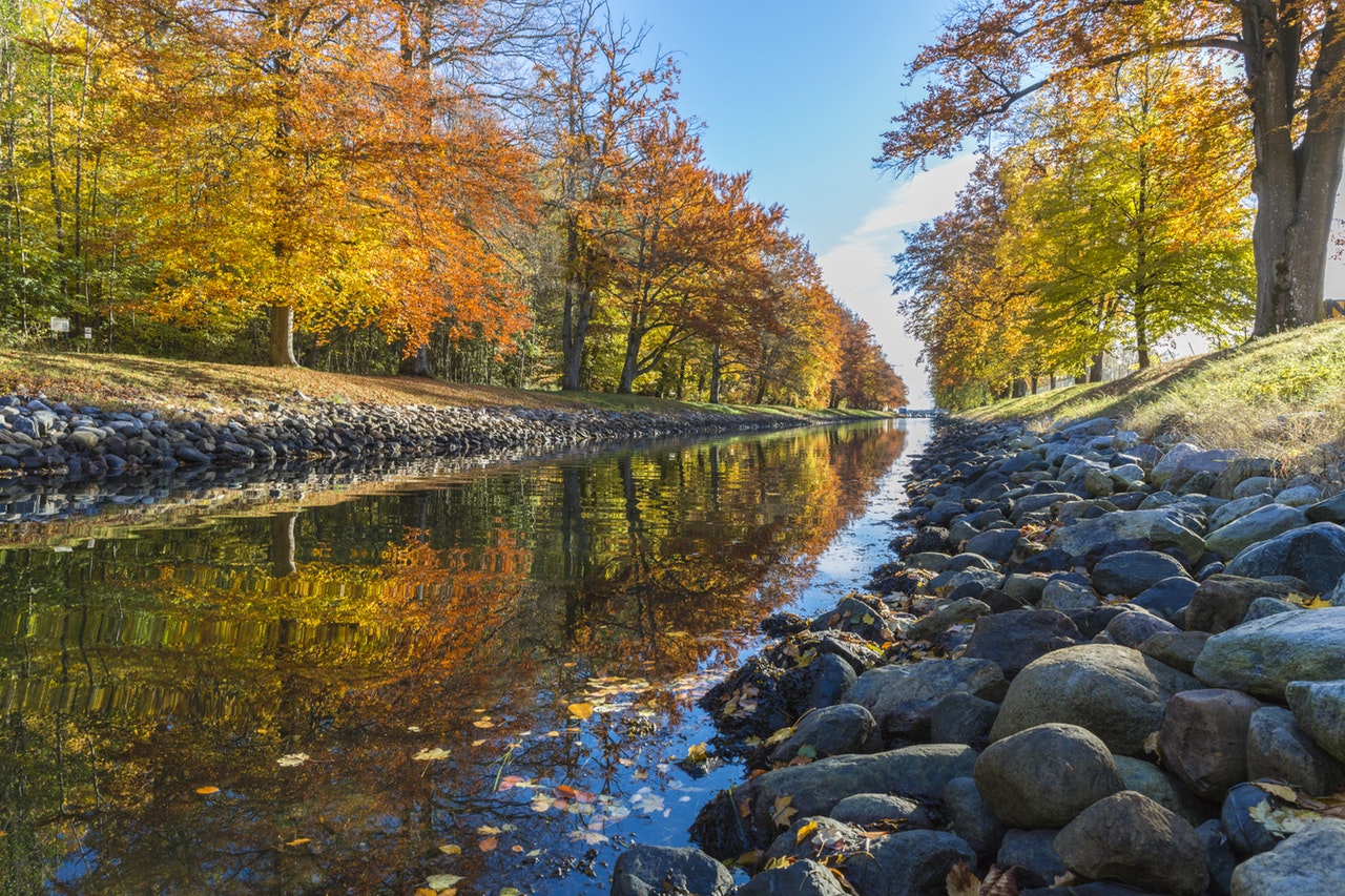 Mindfulness Activity #23