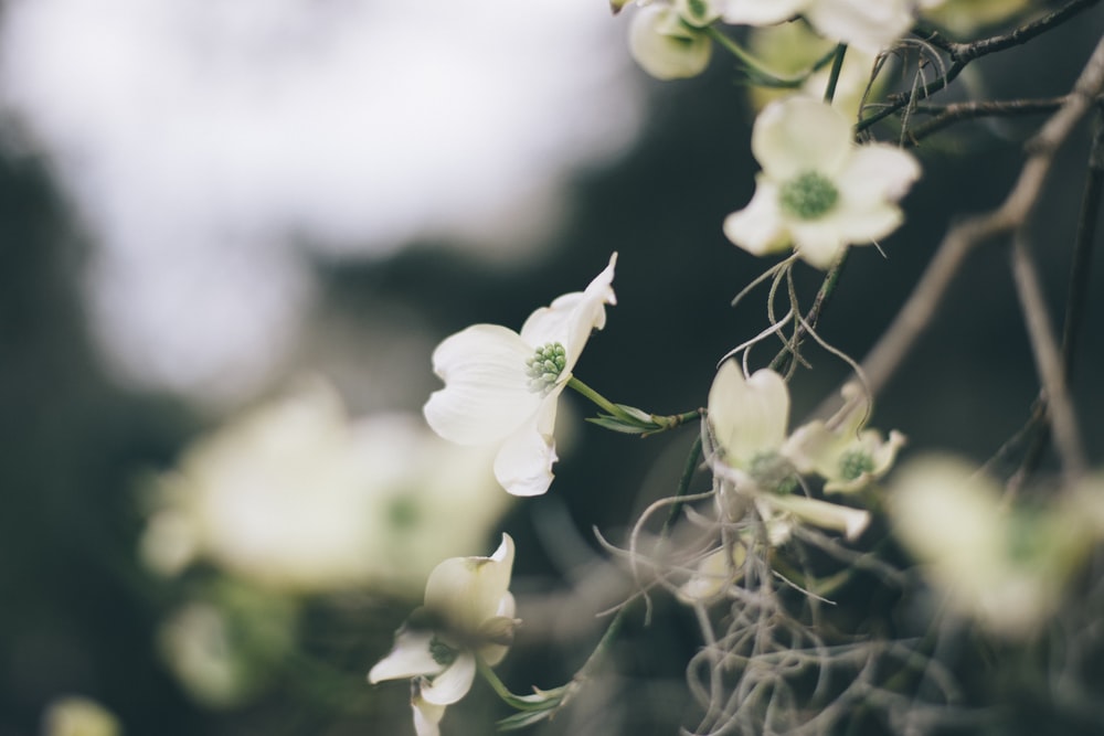 Mindfulness Activity #81