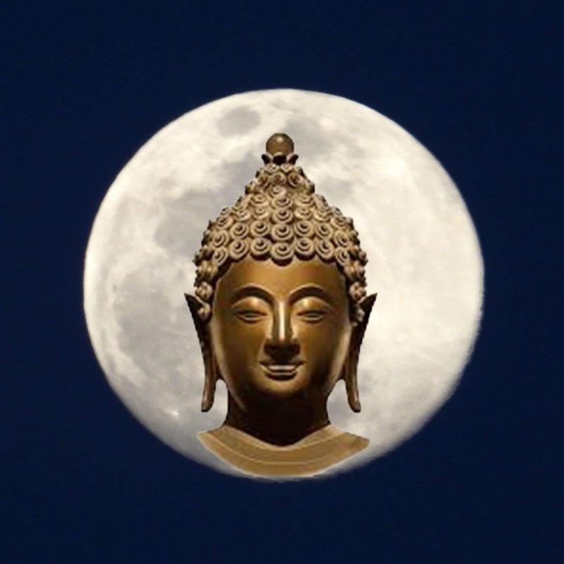 Mindfulness Activity #82