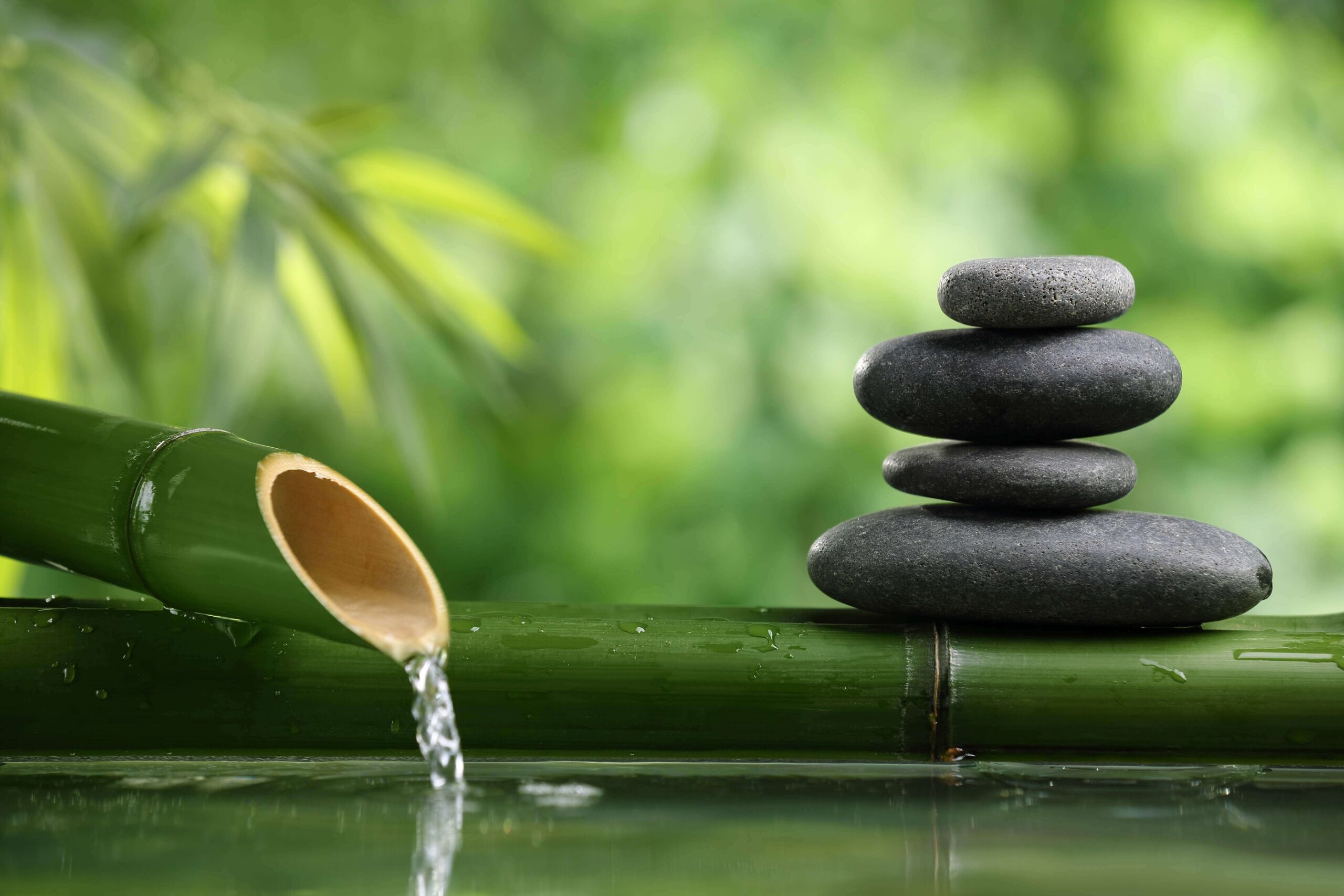 Mindfulness Activity #109