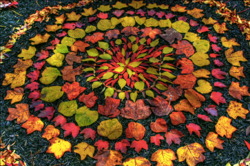 Mindfulness Activity #190