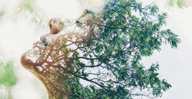 Neurobiology of Developmental Trauma – Practical Applications for Counselors with Mary Vicario and Carol Hudgins-Mitchell