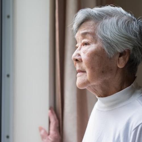 public health webinars older adults