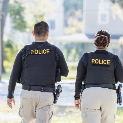 public health webinars police
