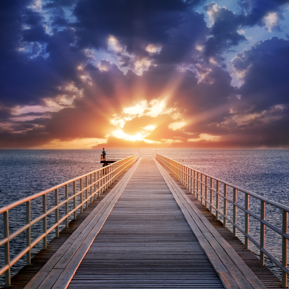 Mindfulness Activity #185