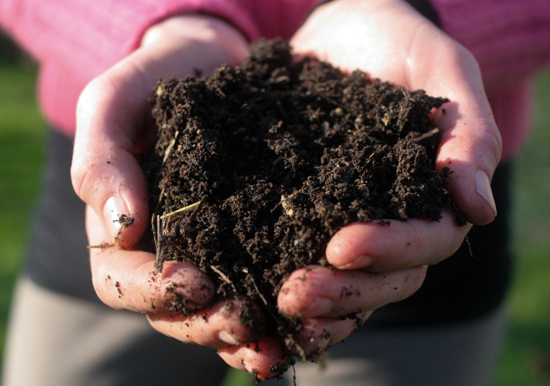 Soil of the Soul – Teaching Ethics as the Study of Self with Sharon Anderson
