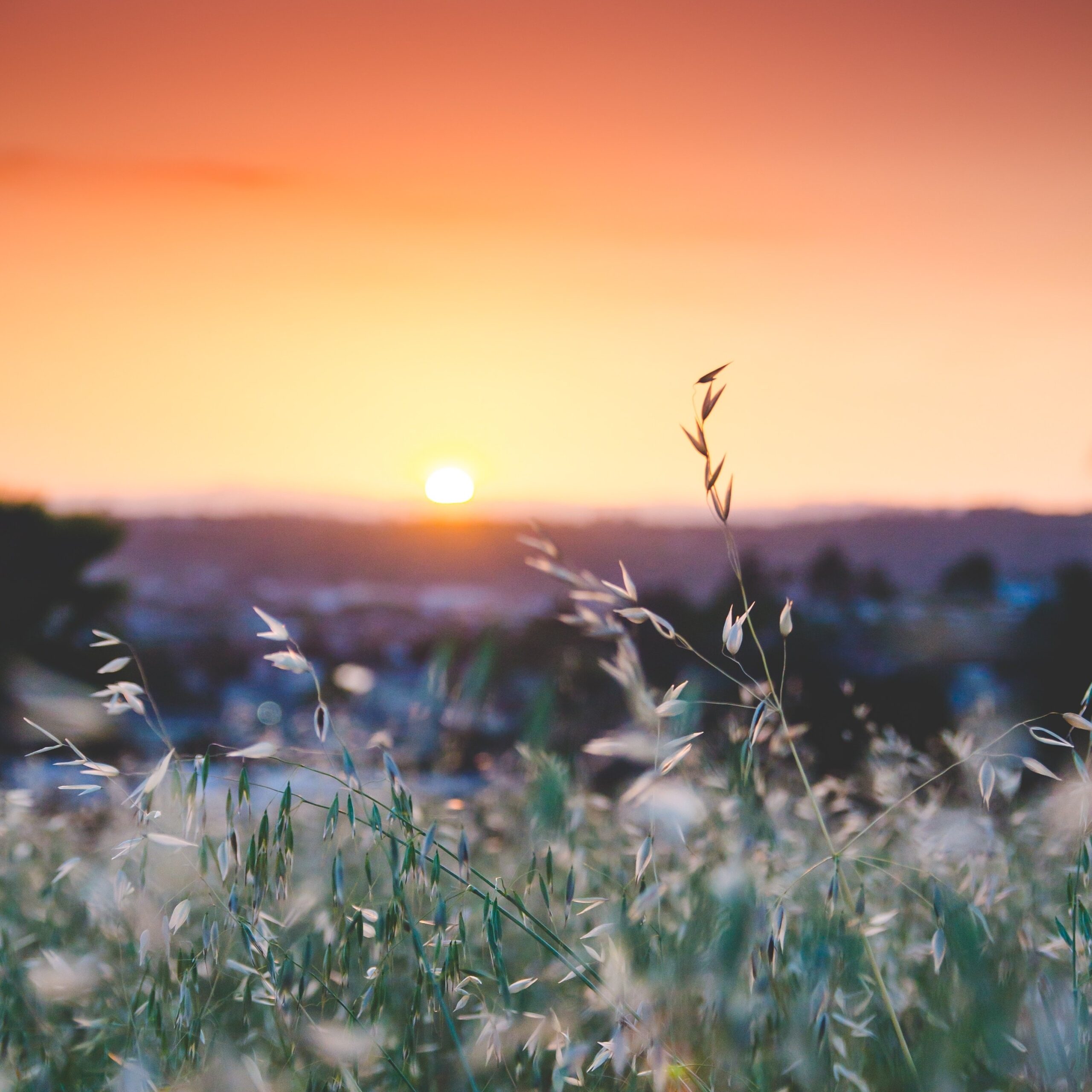Mindfulness Activity #184
