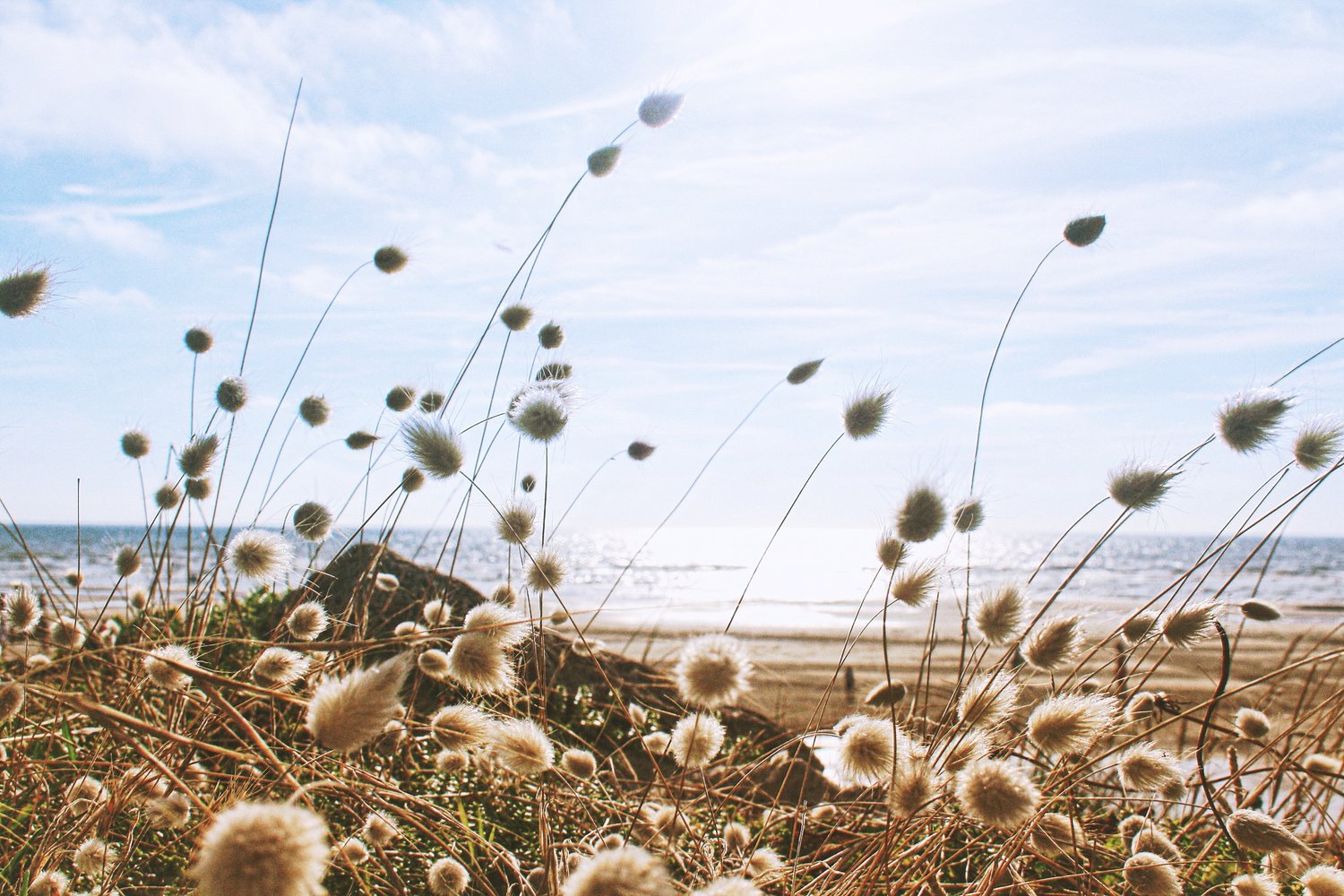 Mindfulness Activity #164