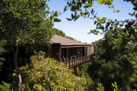 Campus at Palo Alto University